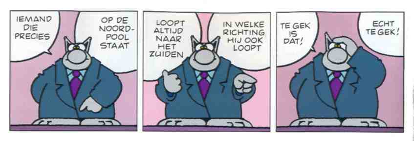 le chat_noordpool