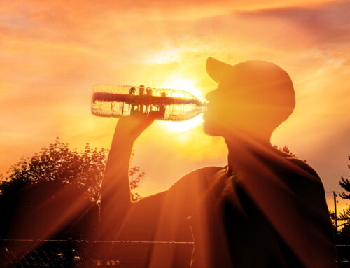 10 Tips voor wandelen met (extreem) warm weer