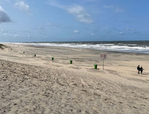 Waarom ik nu écht wil afvallen met wandelen — en hoe ik het anders ga aanpakken